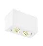 SLV Triledo Double Ceiling Light Aluminium White 14W 1300lm 38D - 830 Warm White